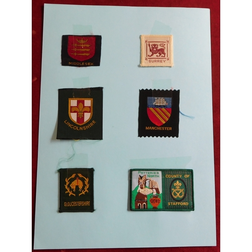 1208 - Scouting - A fine collection of County and City Badge (30)