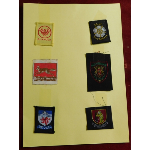 1208 - Scouting - A fine collection of County and City Badge (30)