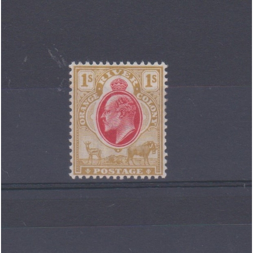 Lot 1257      