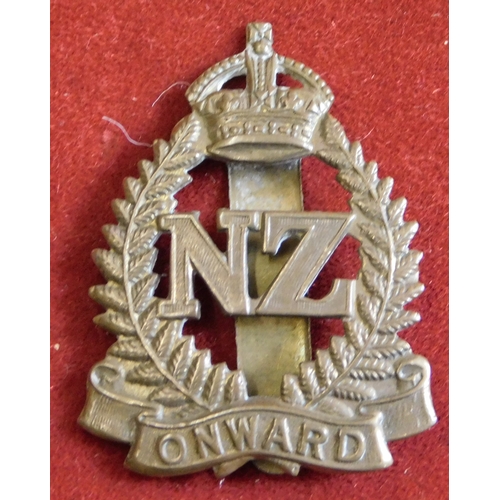 257 - British Commonwealth WWI New Zealand Expeditionary Forces Cap Badge, gilding metal and slider