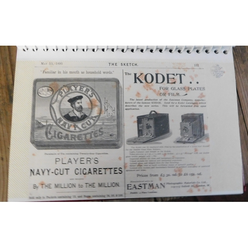 Lot 28        