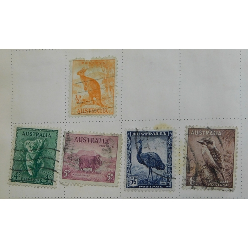 Lot 36        