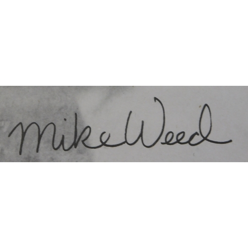 386 - Skateboarding. Mike Weed (1950s-2014). Classic 1970's Skateboarding Photo with printed signature. Fr... 