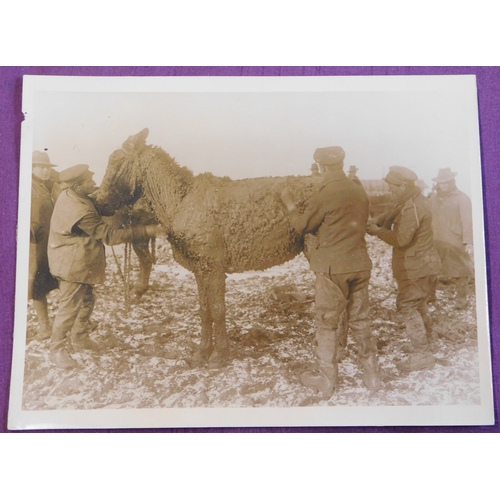 332 - British WWI Press Photograph  C.1133. 