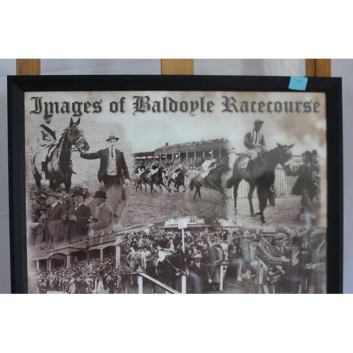 149 - Baldoyle Racecourse Print Print Framed 65x47cm