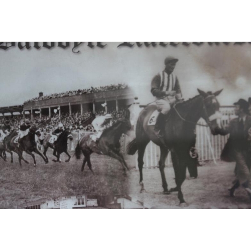 149 - Baldoyle Racecourse Print Print Framed 65x47cm