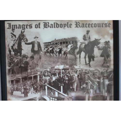 149 - Baldoyle Racecourse Print Print Framed 65x47cm