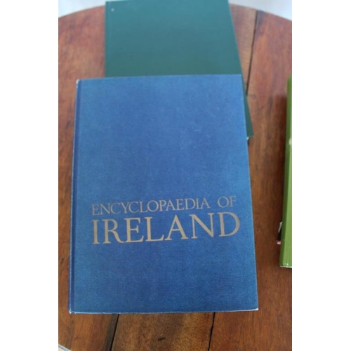 91 - Four large Hardback Books on Ireland. a) 'The Guinness Book of Ireland' 1995 edited by Bernand Lough... 