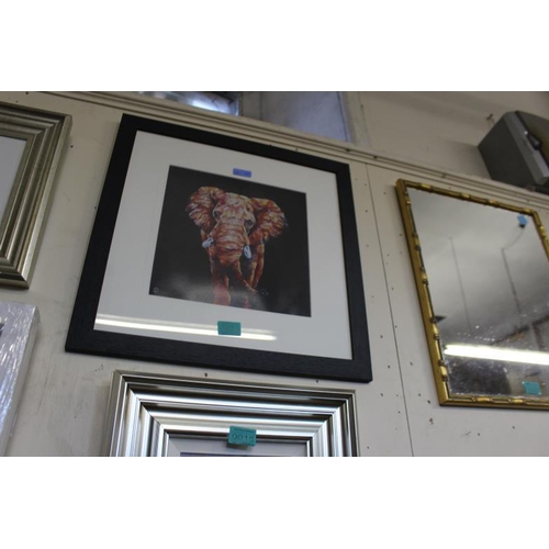 Lot 19        