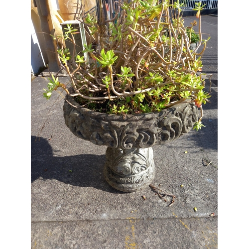Lot 20        