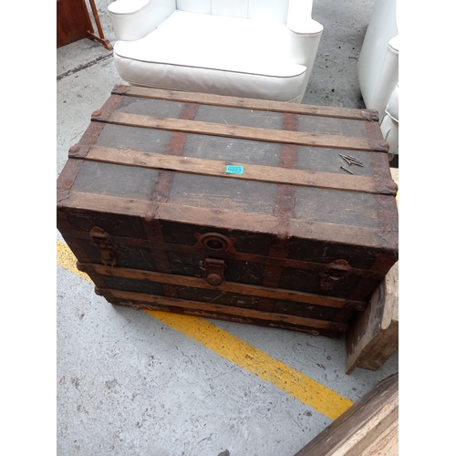 Lot 223       