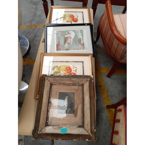 Lot 230       