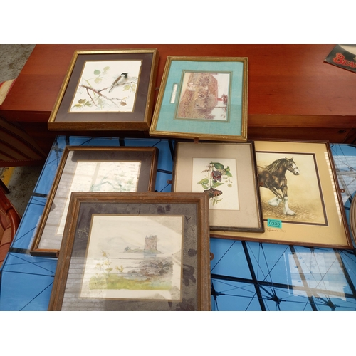 Lot 236       