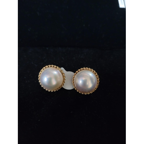 704 - 18 carat Mother of Pearl Dress Earrings