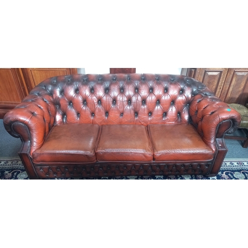 25 - Chesterfield Ox Blood Sofa