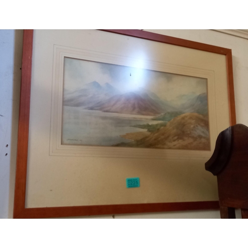 Lot 225       