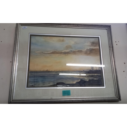 Lot 233       