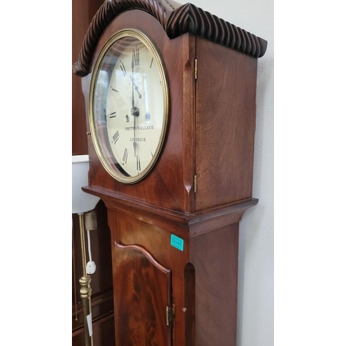 46 - Victorian Mahogany 8 Day white Dial Longcase Clock (Key, Weights and Pendelum)