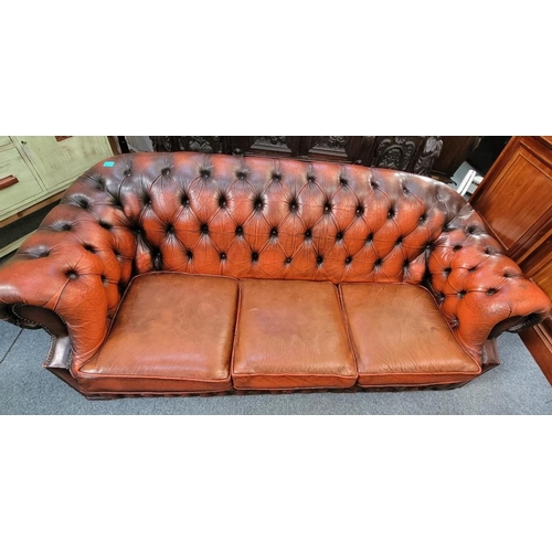 9 - Vintage Ox Blood Chesterfield