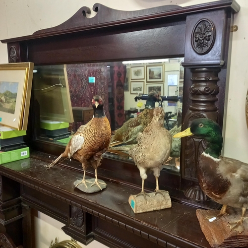 399 - Mahogany Overmantle Mirror