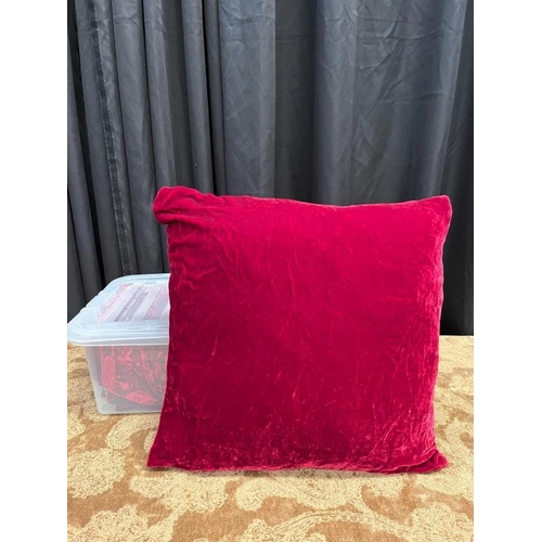 124 - Box of Red Velvet Furry Velvet and Silk Cushions