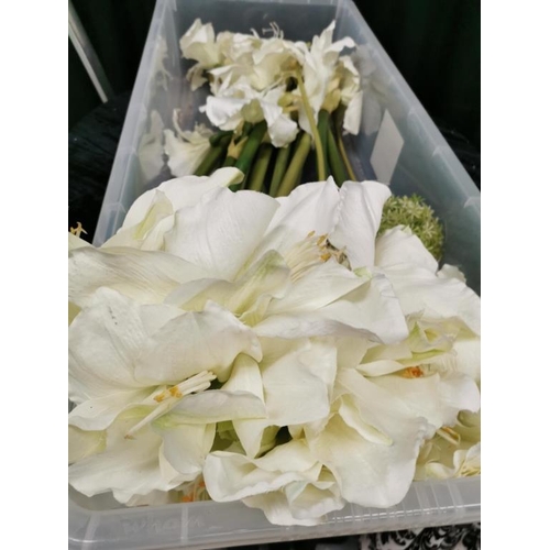 181 - Box of Long White Amarylis Flowers, very realistic Design