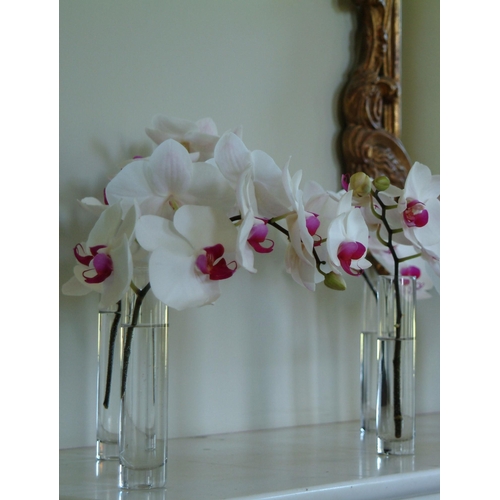 312 - Box of 22cm Slim Vases