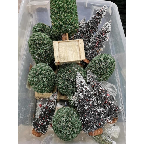 59 - Box of Mixed Minature Pine and Topiary Trees