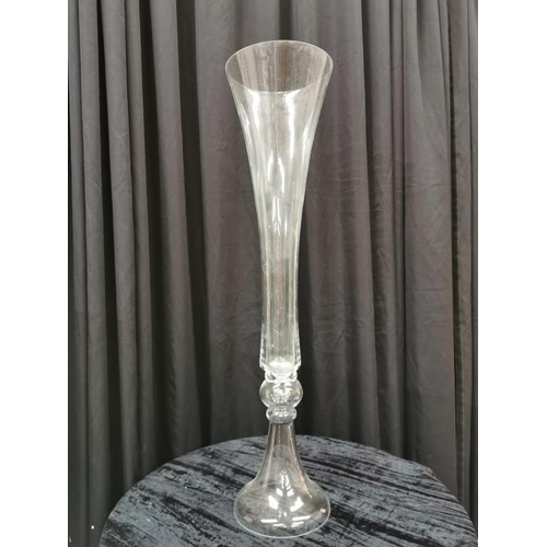 606 - Duo of Glass Chalice Vases (100cm)