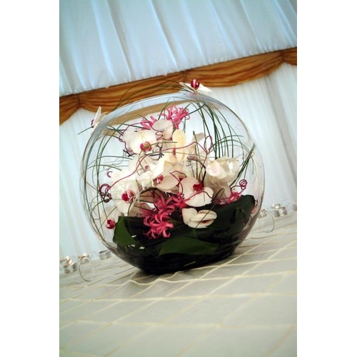 610 - 7 Fish Bowl Vases (40cm)