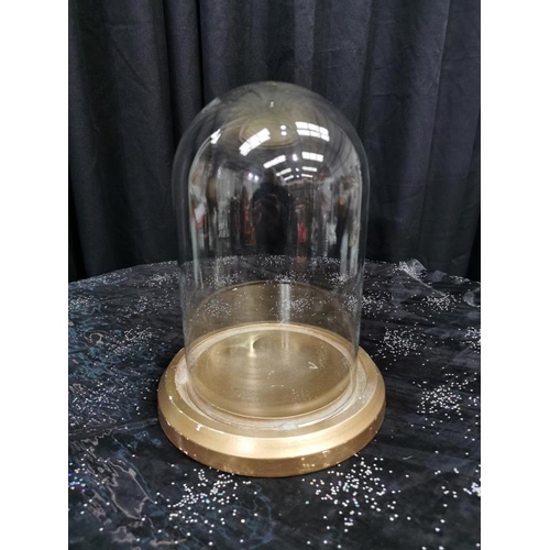 668 - Glass Dome with Gold Wooden base