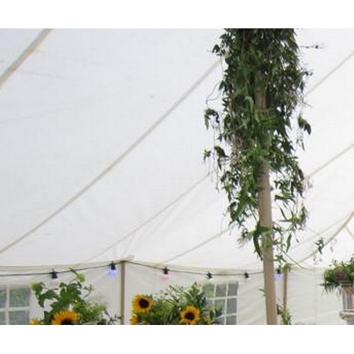 703 - White Pole Tent Marquee