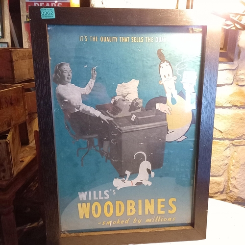 362 - Original Wills Woodbine Showcard in a Modern Frame (53cm x 73cm)