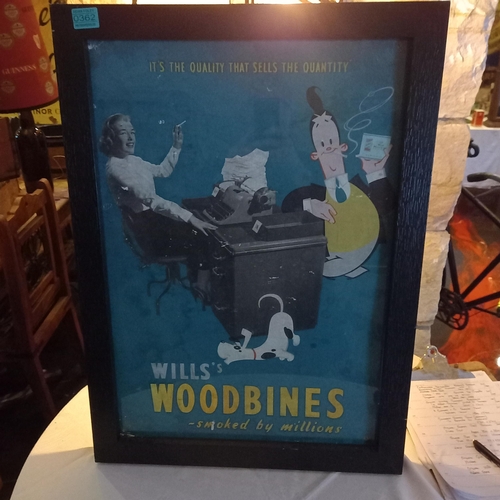 362 - Original Wills Woodbine Showcard in a Modern Frame (53cm x 73cm)