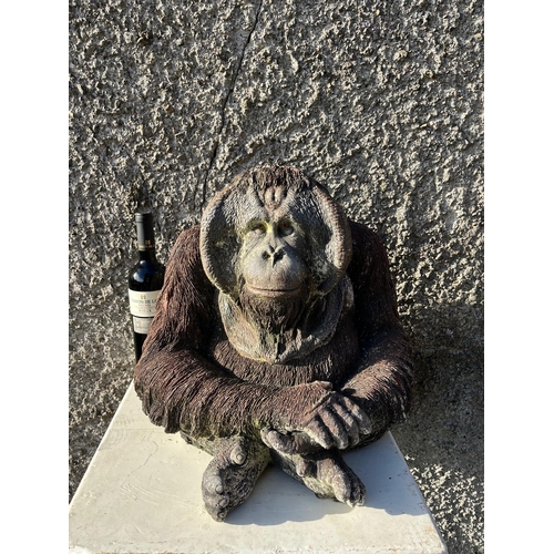 12 - Model of a Chimpanzee (45 cm W x 40 cm H x 40 cm D)