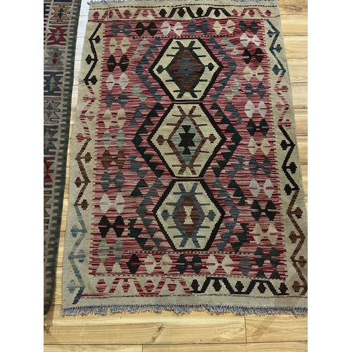 57 - Two Kilims (Largest 170 cm W x 112 cm H)