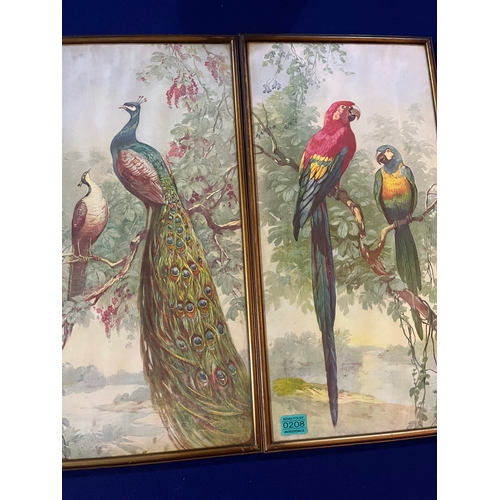 208 - Pair of Prints Featuring Peacocks and Parrots and a Framed Embroidery of a Peacock (Embroidery 47 cm... 