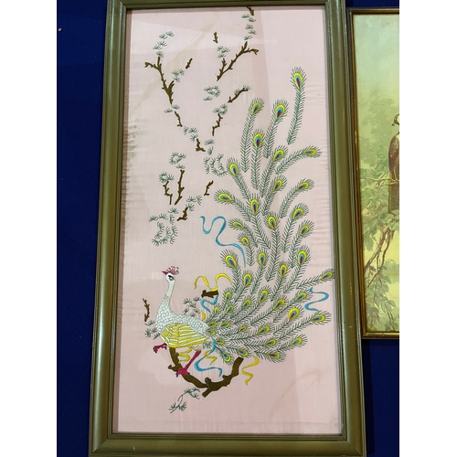 208 - Pair of Prints Featuring Peacocks and Parrots and a Framed Embroidery of a Peacock (Embroidery 47 cm... 