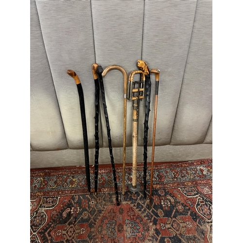 765 - Good Collection of Walking Sticks