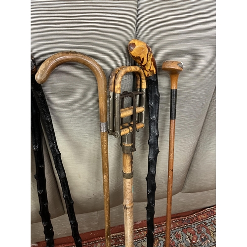 765 - Good Collection of Walking Sticks