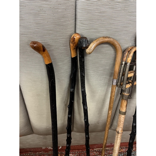 765 - Good Collection of Walking Sticks