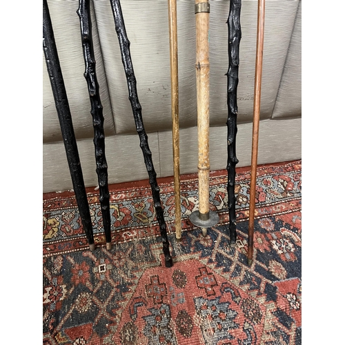 765 - Good Collection of Walking Sticks