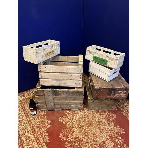 5 - Two Antique Pine Lift Top Crates and Various White Painted Crates