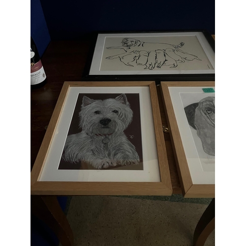 267 - Collection of Dog Prints and Pictures