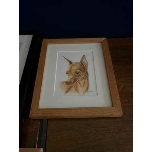 267 - Collection of Dog Prints and Pictures