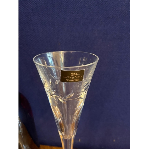 487 - Waterford Crystal Michael Aram, Pair of Tall Champagne Glasses (28 cm H)