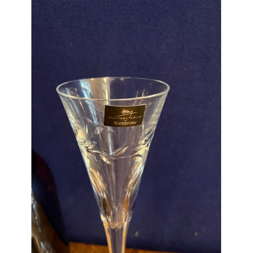 487 - Waterford Crystal Michael Aram, Pair of Tall Champagne Glasses (28 cm H)