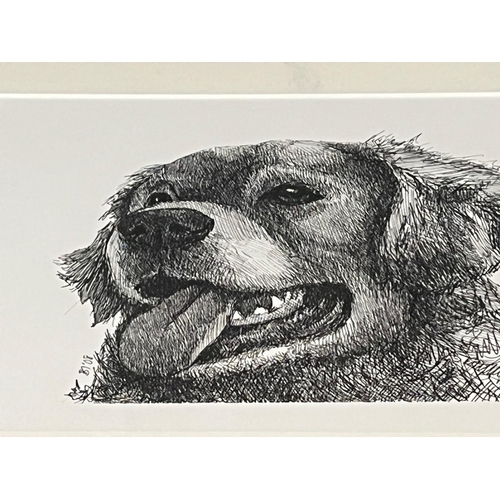 577 - Four Dog Pictures (Largest 51 cm W x 43 cm H)