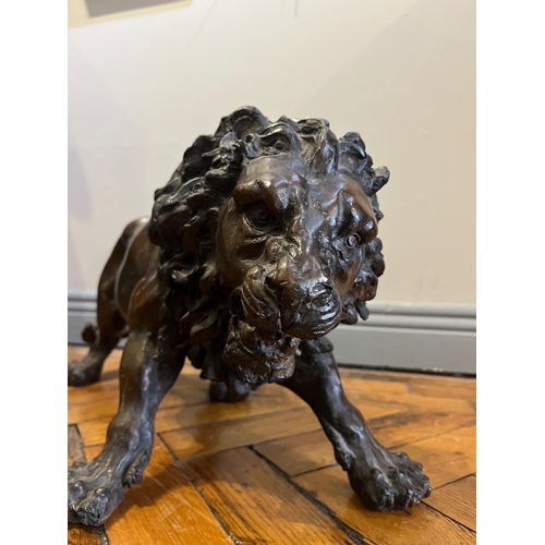 726 - Bronze Figure of a Fighting Lion (60 cm W x 25 cm H)