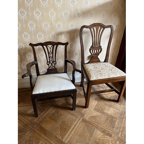 141 - Georgian Chestnut Childs Chair (63 cm W x 76 cm H x 45 cm D)